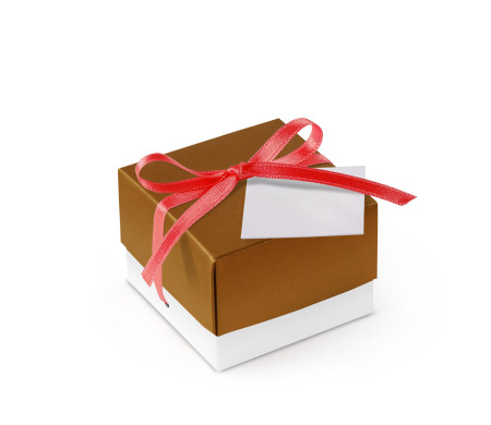 Pretty Gift Box with Lid and Decorative Bow
