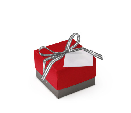 Pretty Gift Box with Lid and Decorative Bow