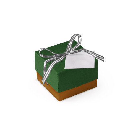 Pretty Gift Box with Lid and Decorative Bow