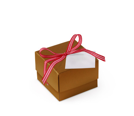 Pretty Gift Box with Lid and Decorative Bow