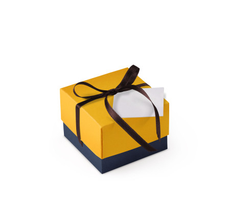 Pretty Gift Box with Lid and Decorative Bow