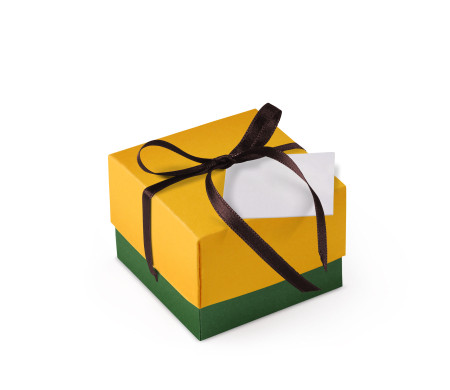 Pretty Gift Box with Lid and Decorative Bow