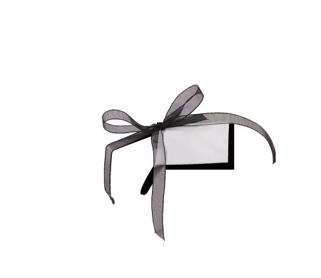 Pretty Gift Box with Lid and Decorative Bow