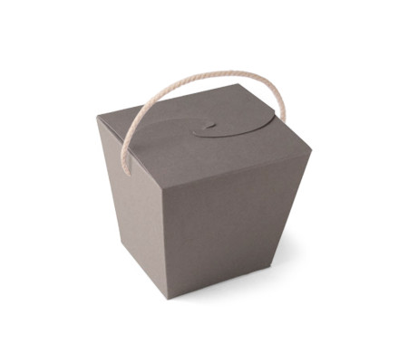 Chinese Noodle Box