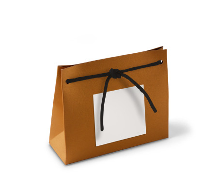 Paper Gift Bag with Cord