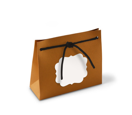 Paper Gift Bag with Cord
