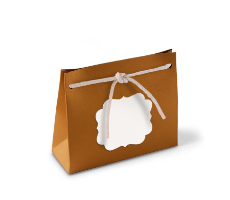 Paper Gift Bag with Cord