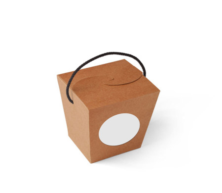 Chinese Noodle Box