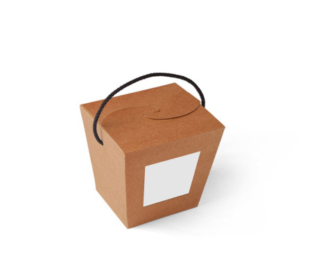 Chinese Noodle Box