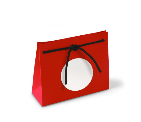 Paper Gift Bag with Cord