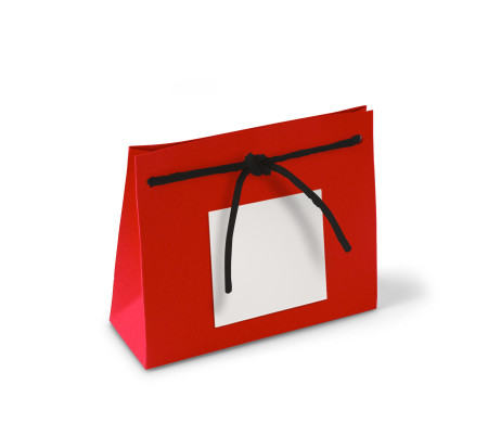 Paper Gift Bag with Cord