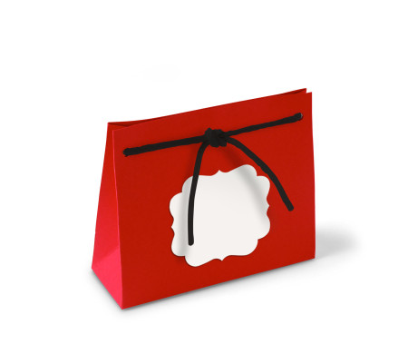 Paper Gift Bag with Cord