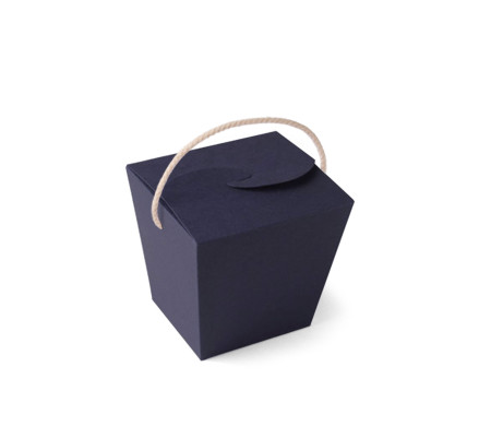 Chinese Noodle Box