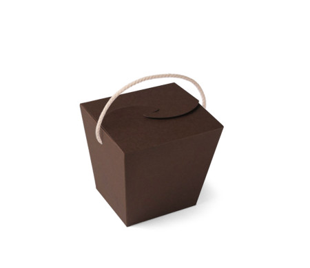 Chinese Noodle Box