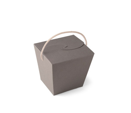 Chinese Noodle Box