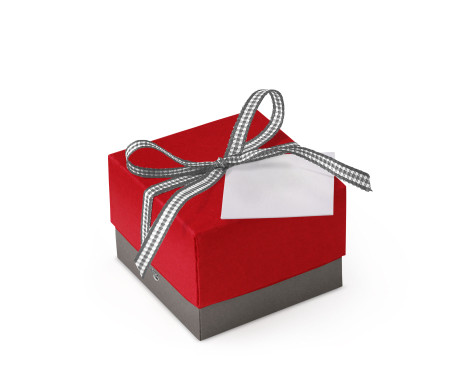 Pretty Gift Box with Lid and Decorative Bow