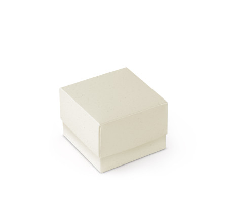 Pretty Gift Box with Lid and Decorative Bow