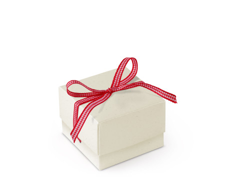 Pretty Gift Box with Lid and Decorative Bow