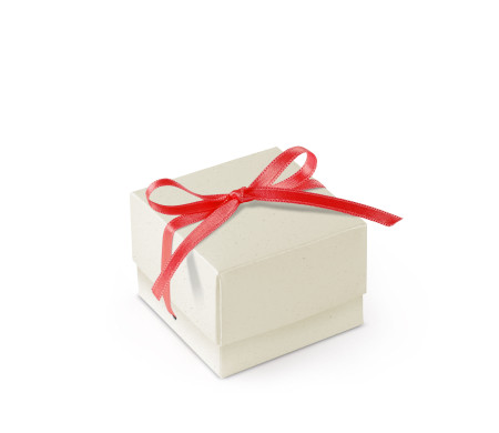 Pretty Gift Box with Lid and Decorative Bow