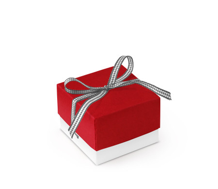 Pretty Gift Box with Lid and Decorative Bow