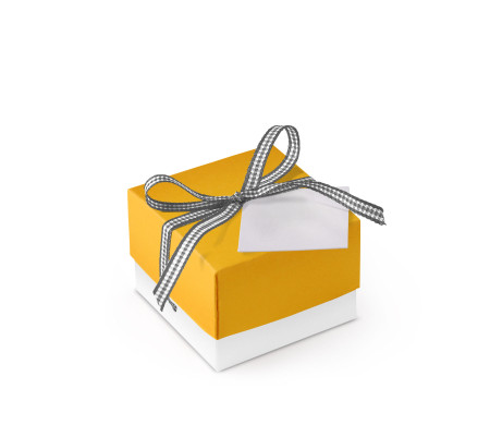 Pretty Gift Box with Lid and Decorative Bow