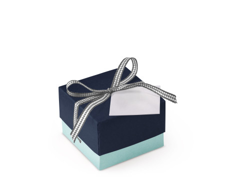 Pretty Gift Box with Lid and Decorative Bow