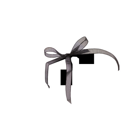 Pretty Gift Box with Lid and Decorative Bow