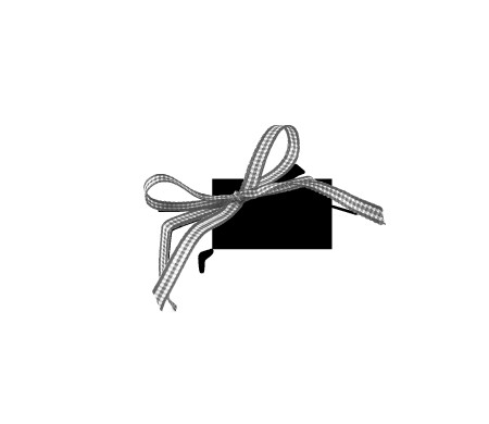 Pretty Gift Box with Lid and Decorative Bow
