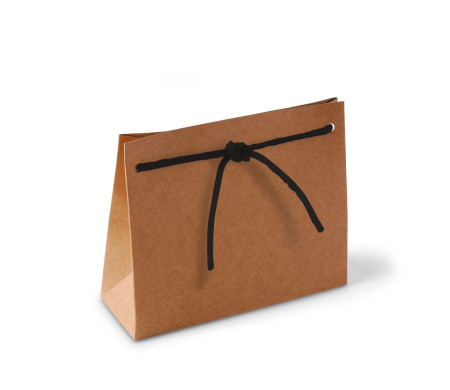 Paper Gift Bag with Cord