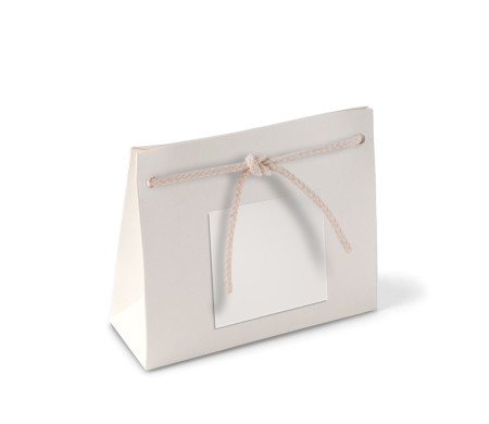 Paper Gift Bag with Cord