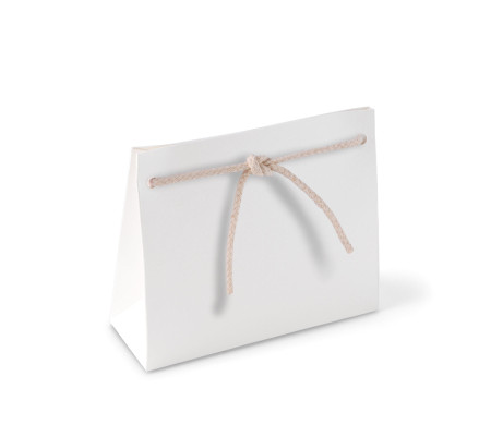 Paper Gift Bag with Cord