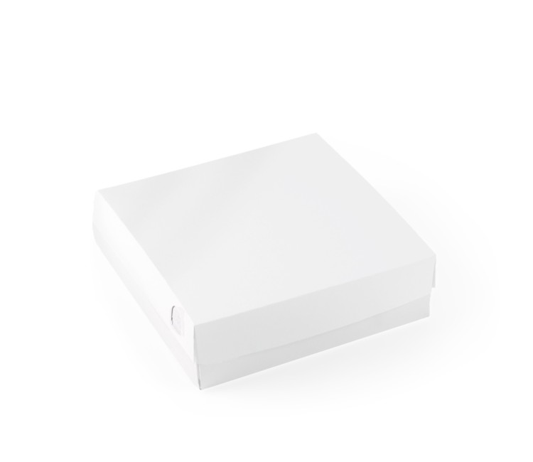 Square box with a lid for sushi mixes Square box with a lid for sushi mixes