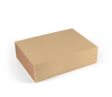 Self-assembling rectangular lined cardboard box