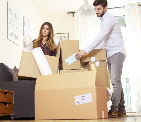 Kit 30 removal boxes