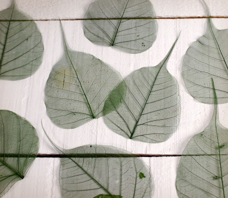 Decorative leaves for scrapbooking