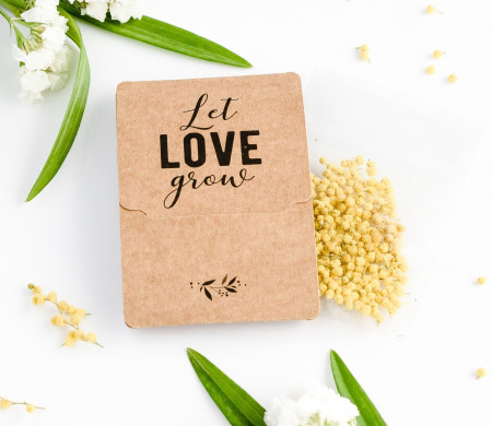 Seed Box for Guests 