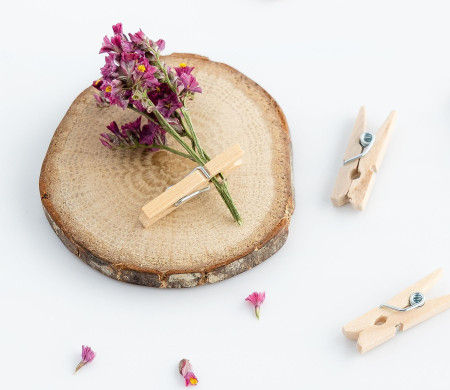Mini wooden clothes pegs