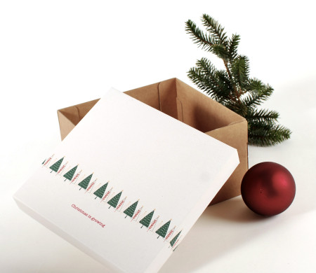 Square box with lid and Christmas print 