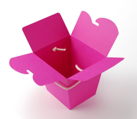 Chinese Noodle Box