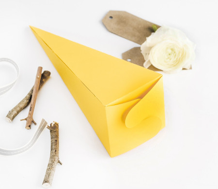 Cone-shaped Party Box