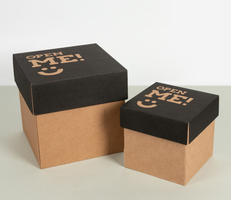 Shipping Box with Separate Lid