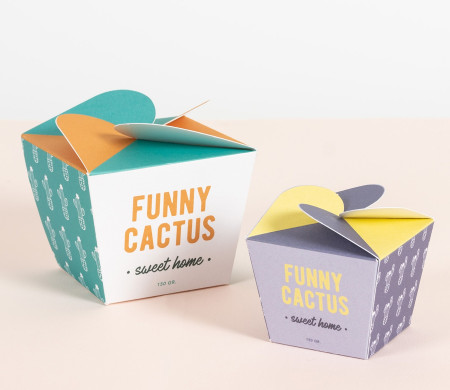 Box for Beauty Creams, Original and Shaped like a Flower