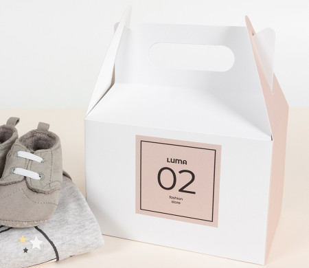 Cardboard Picnic Box for Gifts