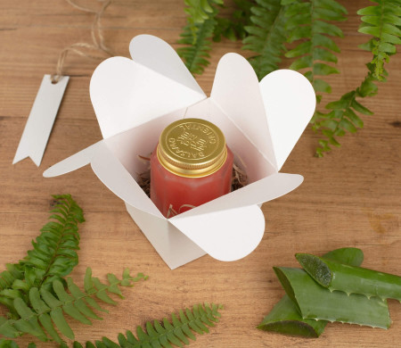 Box for Beauty Creams, Original and Shaped like a Flower