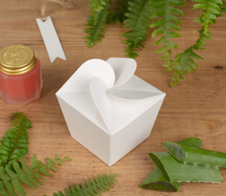Box for Beauty Creams, Original and Shaped like a Flower