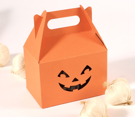 Cardboard Picnic Box for Gifts