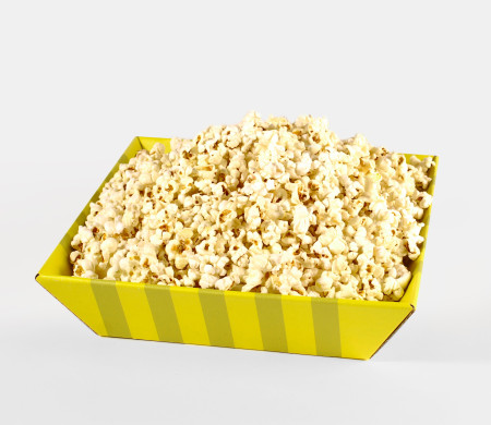 Square Cardboard Tray