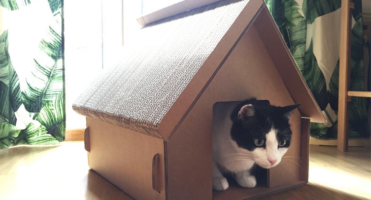 Cardboard toys for cats 25