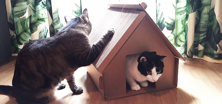 Cardboard toys for cats 28