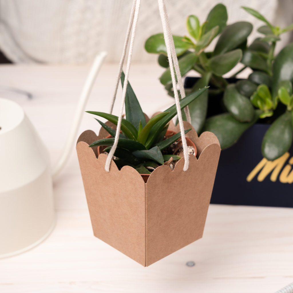 Make a hanging pot with cardboard